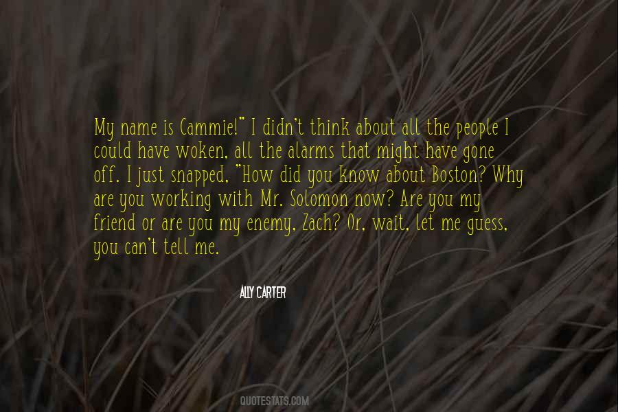 Ally And Enemy Quotes #716789
