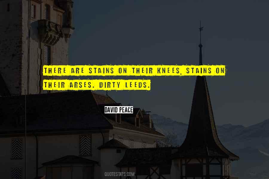 Quotes About Stains #582655