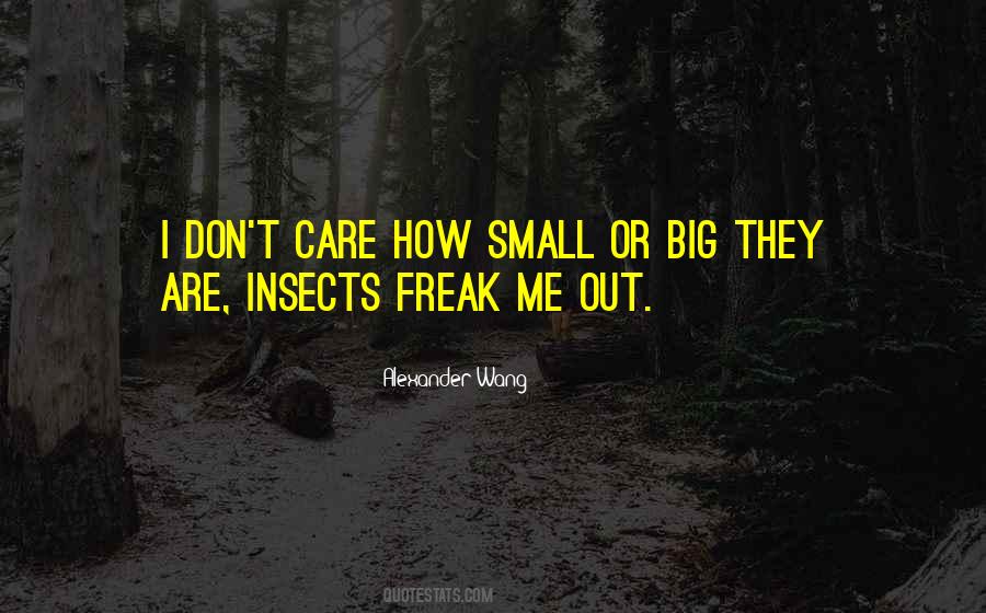 Small Care Quotes #270694
