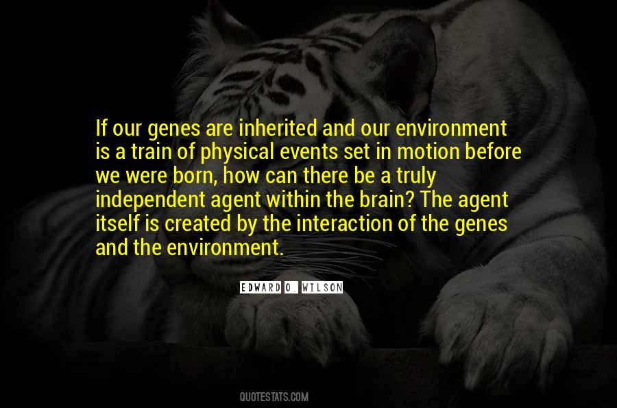 Quotes About Our Environment #1108227