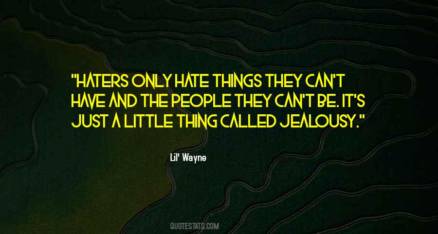 Quotes About All The Haters #163946