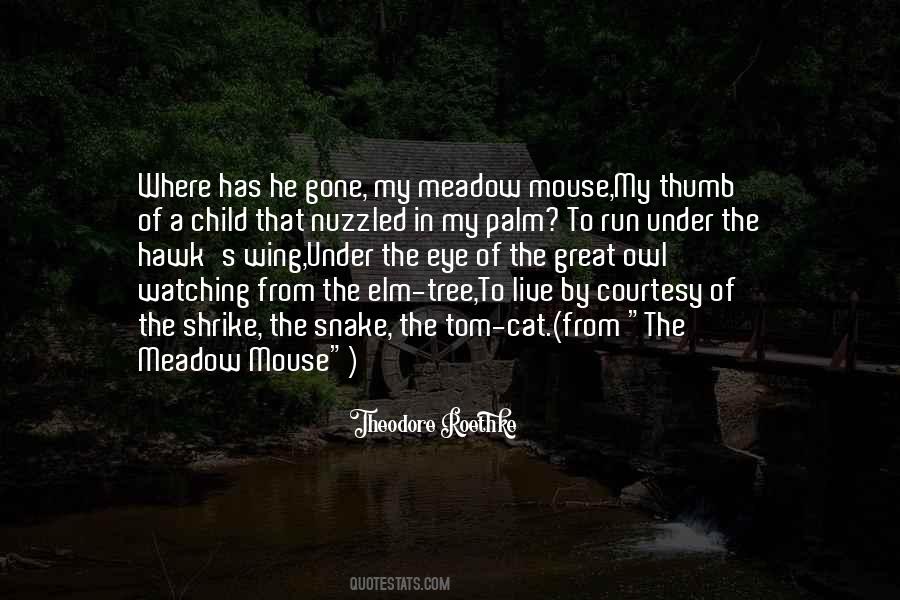 Great Cat Quotes #1873123