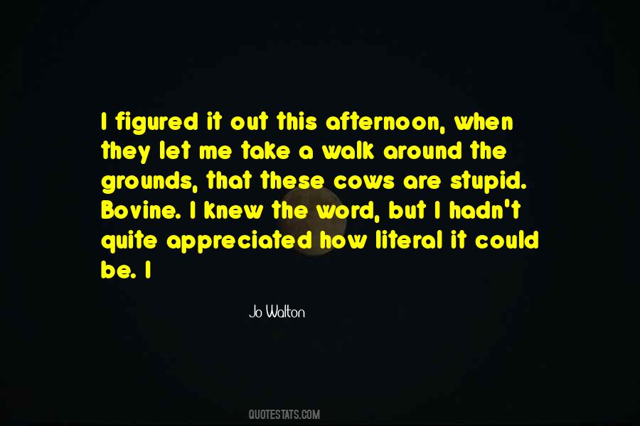 Afternoon Walk Quotes #286889