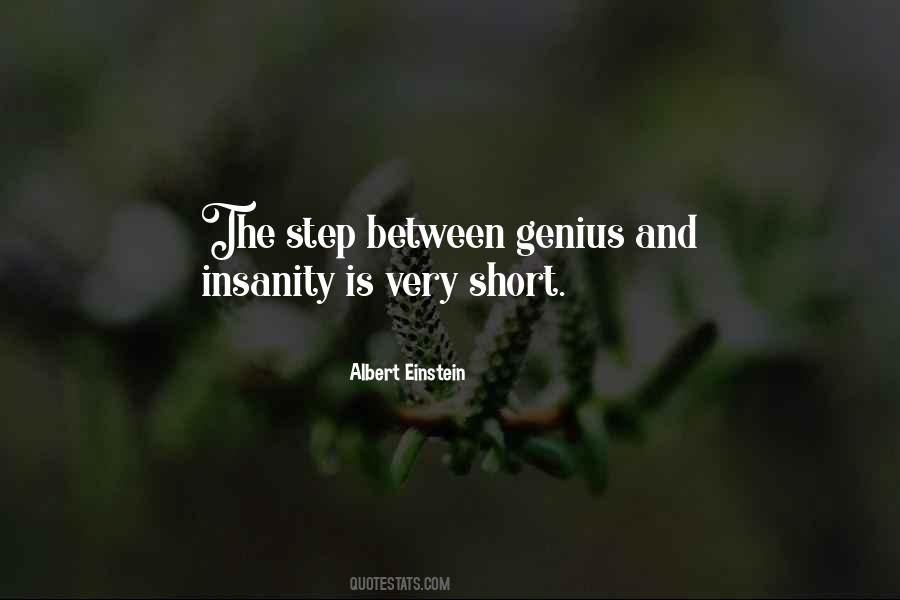 Quotes About Genius And Insanity #1102305