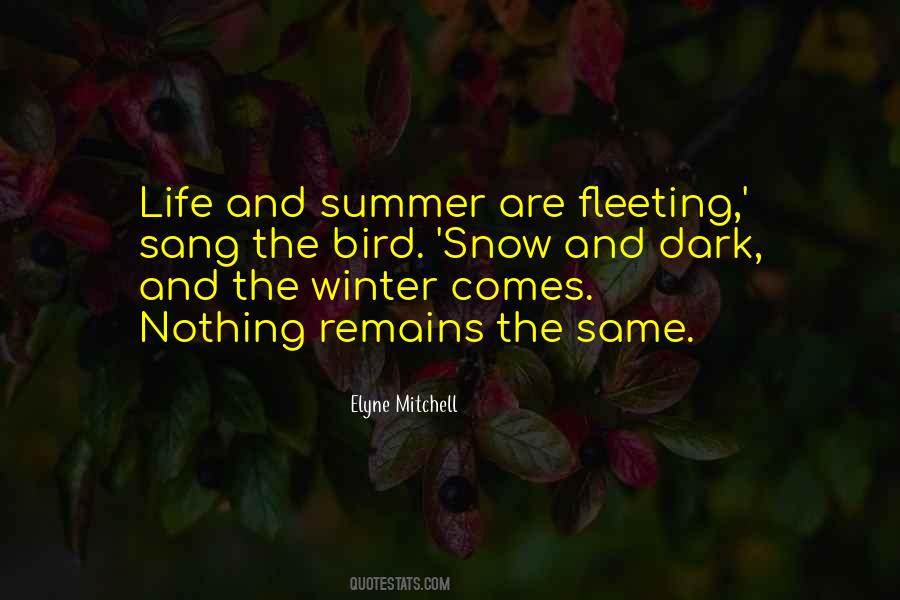 Dark Bird Quotes #884070