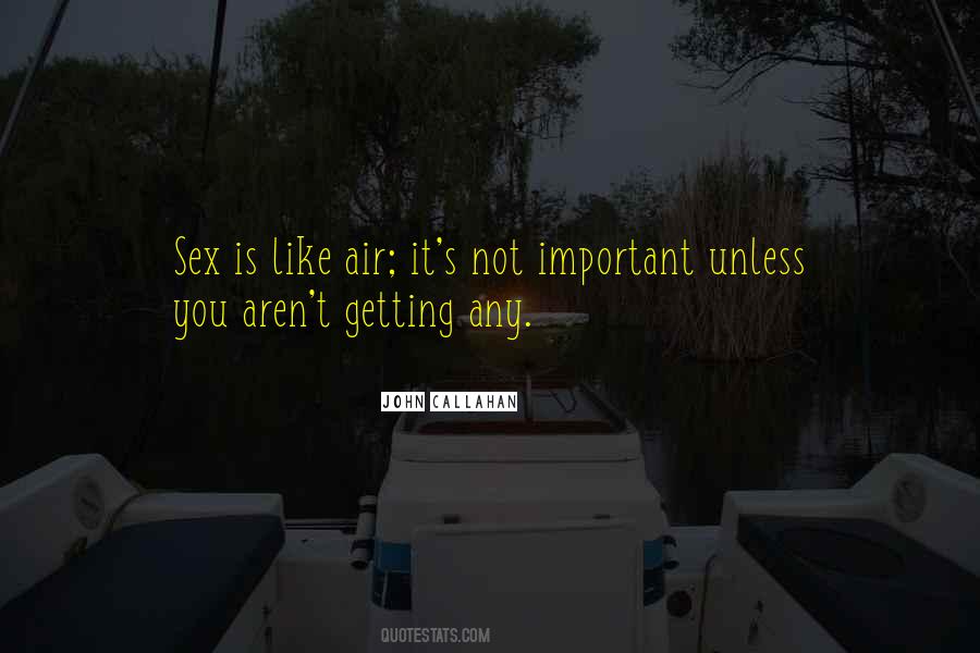 Not Important Quotes #1300275