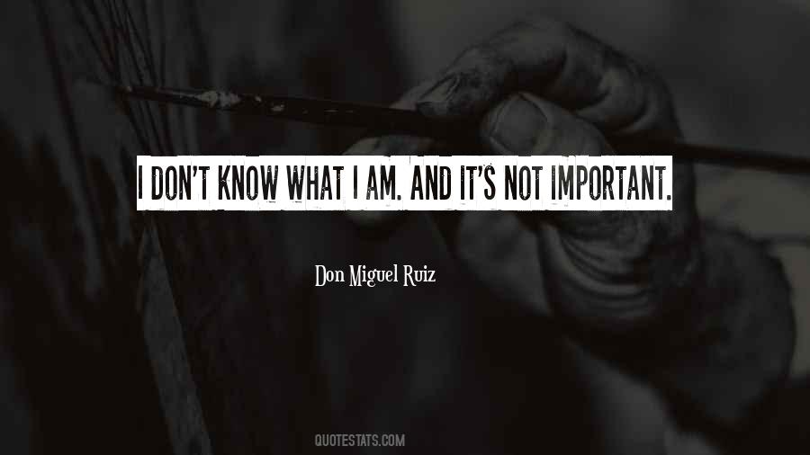 Not Important Quotes #974988