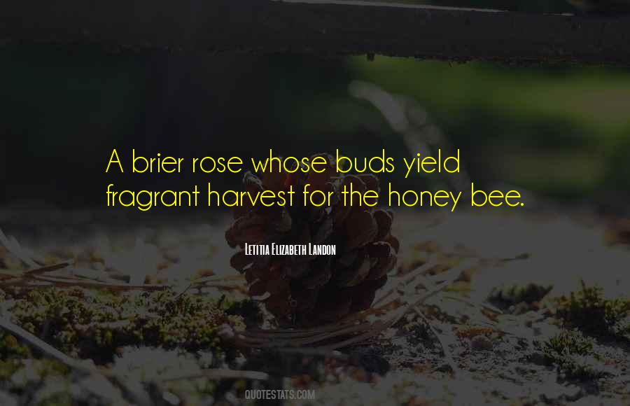 Quotes About Rose #1794191