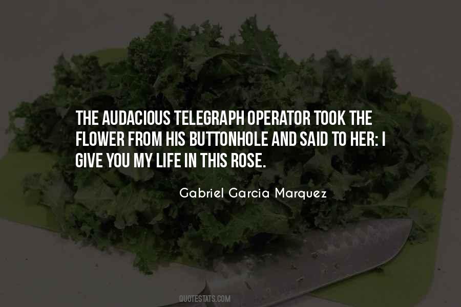 Quotes About Rose #1879014