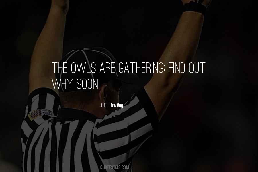 Quotes About Owls Harry Potter #1604646