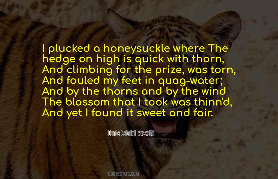 Noa Quotes #1375856