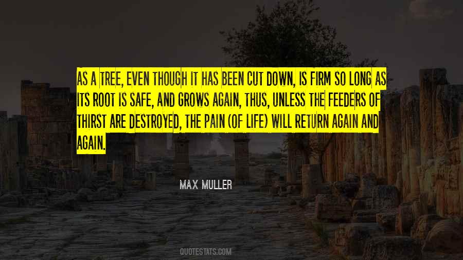 Quotes About Roots Of A Tree #103539
