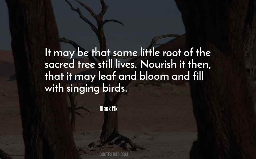 Quotes About Roots Of A Tree #388796