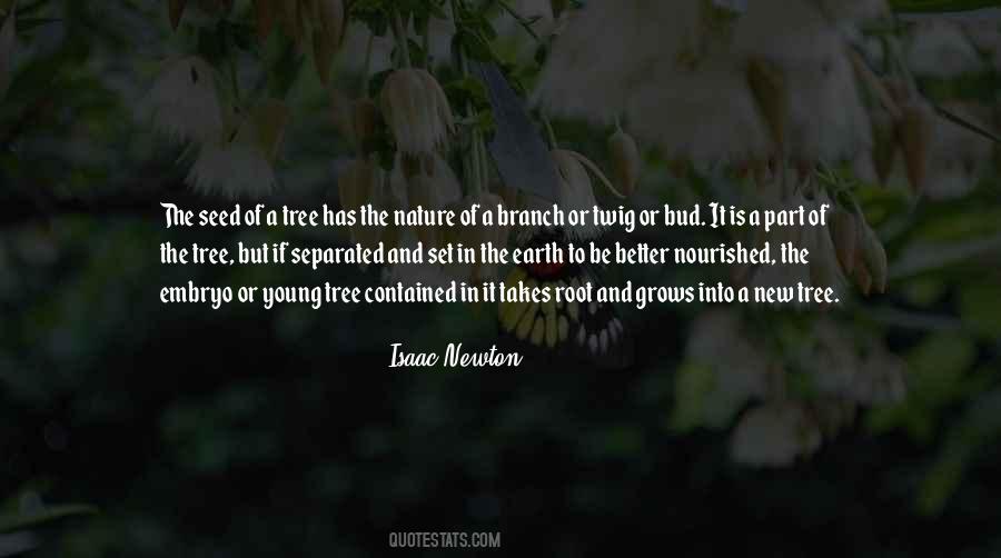 Quotes About Roots Of A Tree #50636