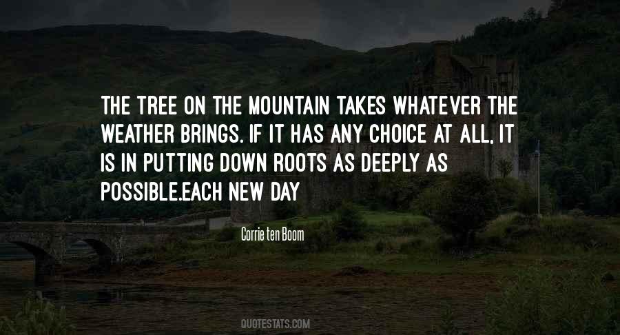 Quotes About Roots Of A Tree #565128