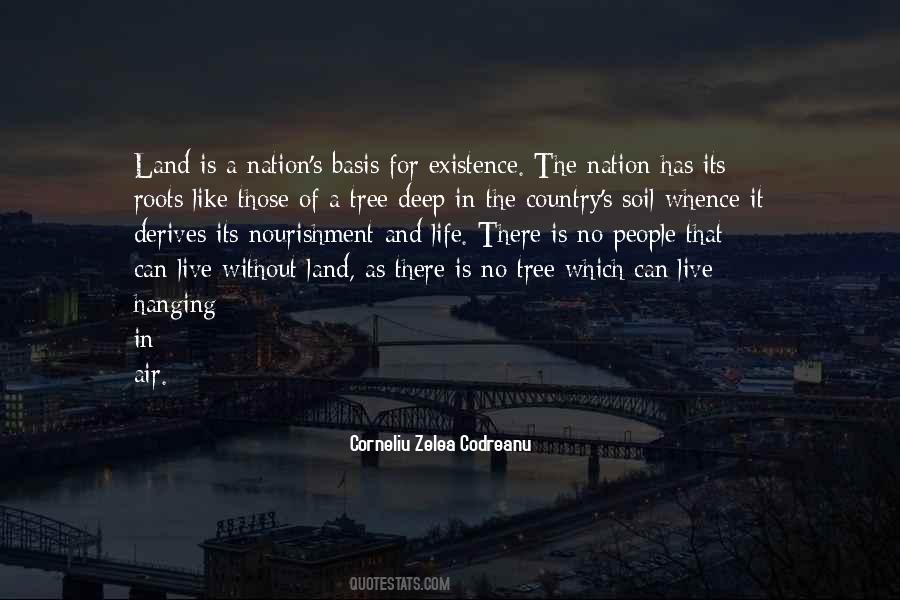 Quotes About Roots Of A Tree #925682