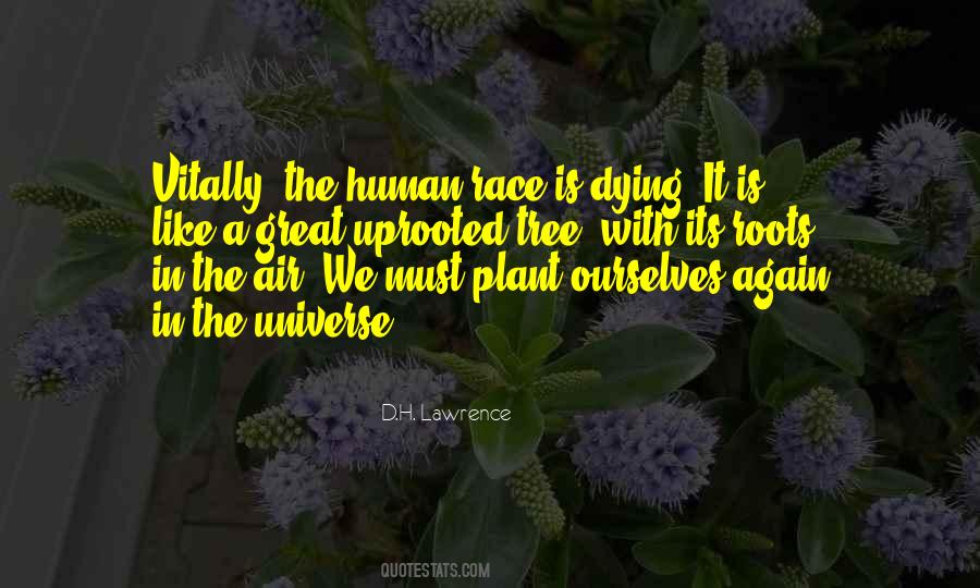 Quotes About Roots Of A Tree #961003