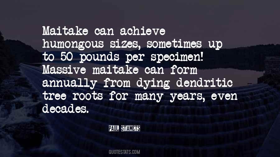 Quotes About Roots Of A Tree #966224