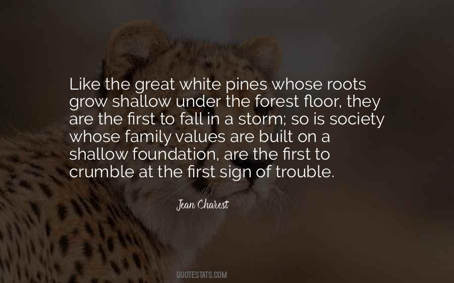 Quotes About Roots Of A Family #550317