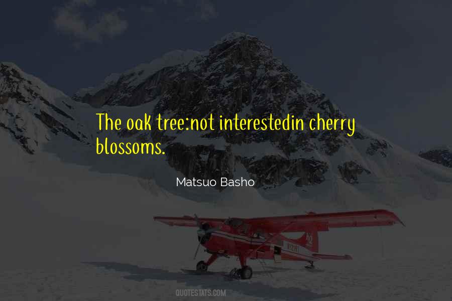 Quotes About Cherry Blossoms #452467