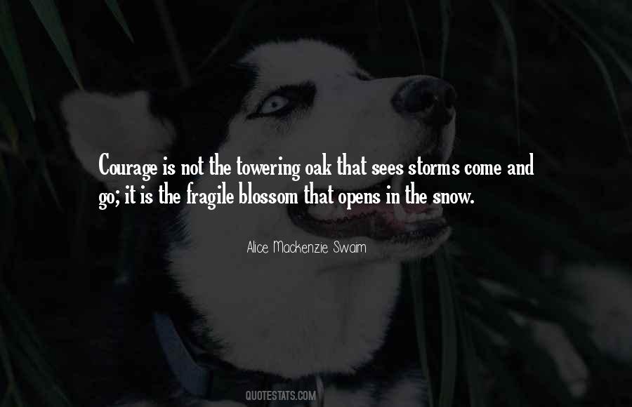 Quotes About Storms #1188654