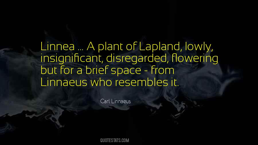 Quotes About Lapland #767299