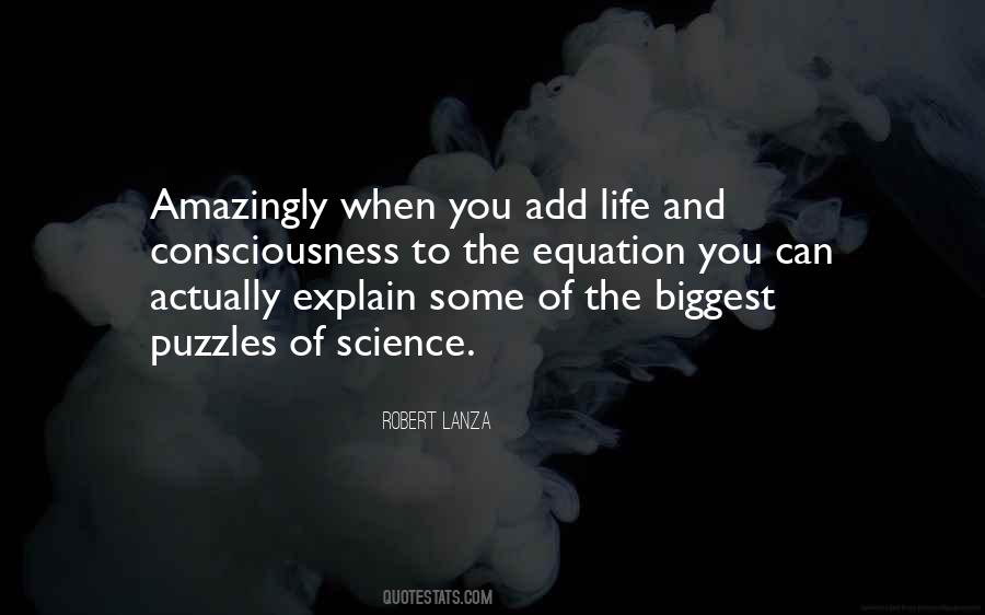 Life Puzzles Quotes #1564853