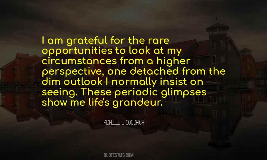 Quotes About Rare Opportunities #167481