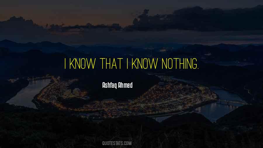Know Nothing Quotes #1299017