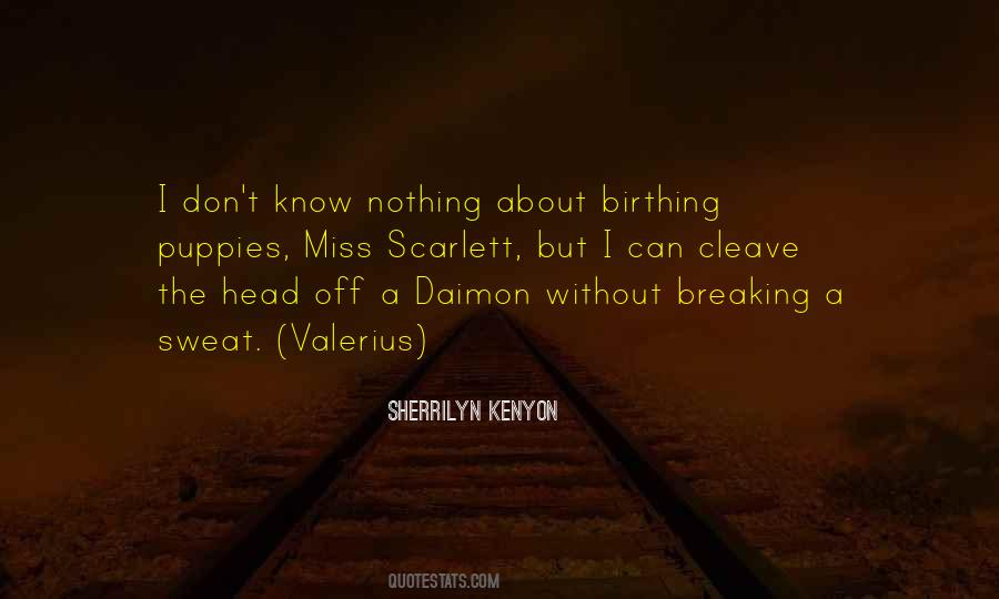 Know Nothing Quotes #1347447