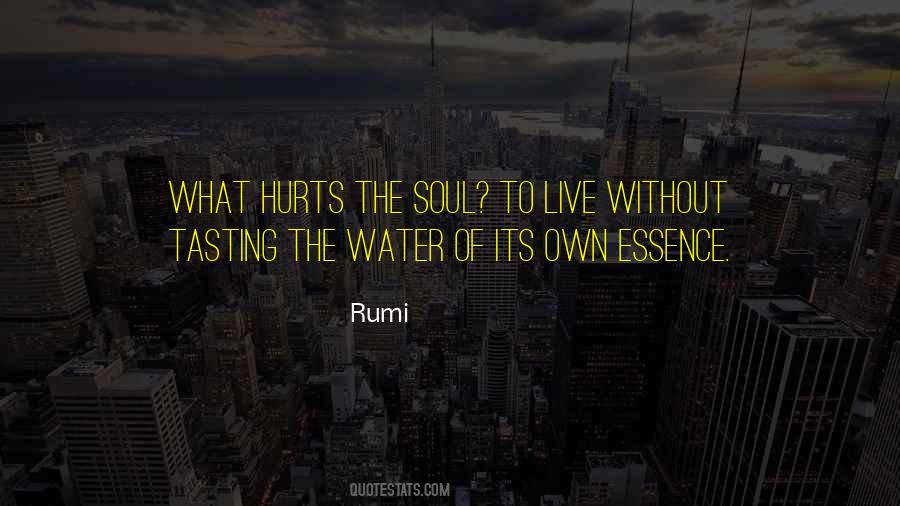 Live From Your Soul Essence Quotes #278080