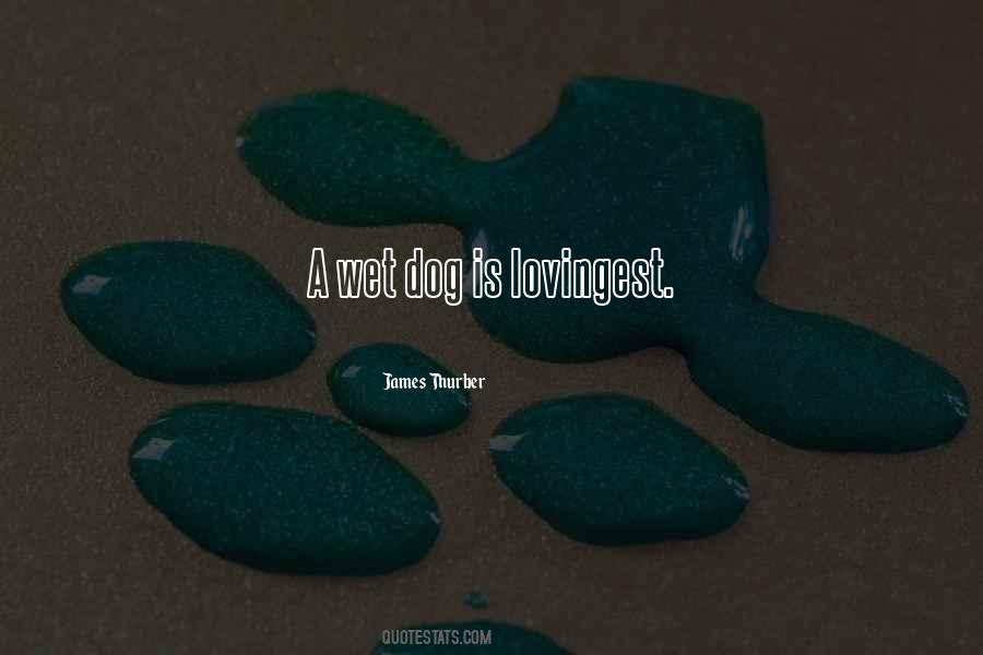 Quotes About Wet Dogs #1036419