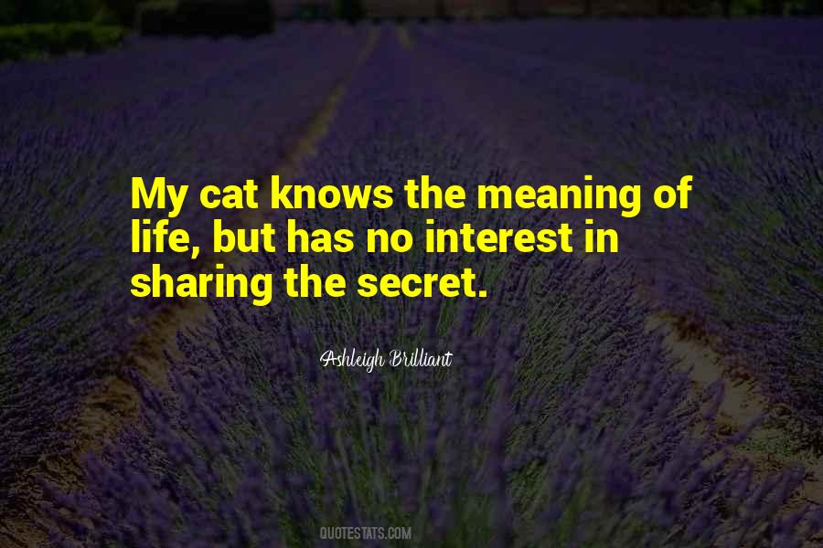 Quotes About A Secret Admirer #512333