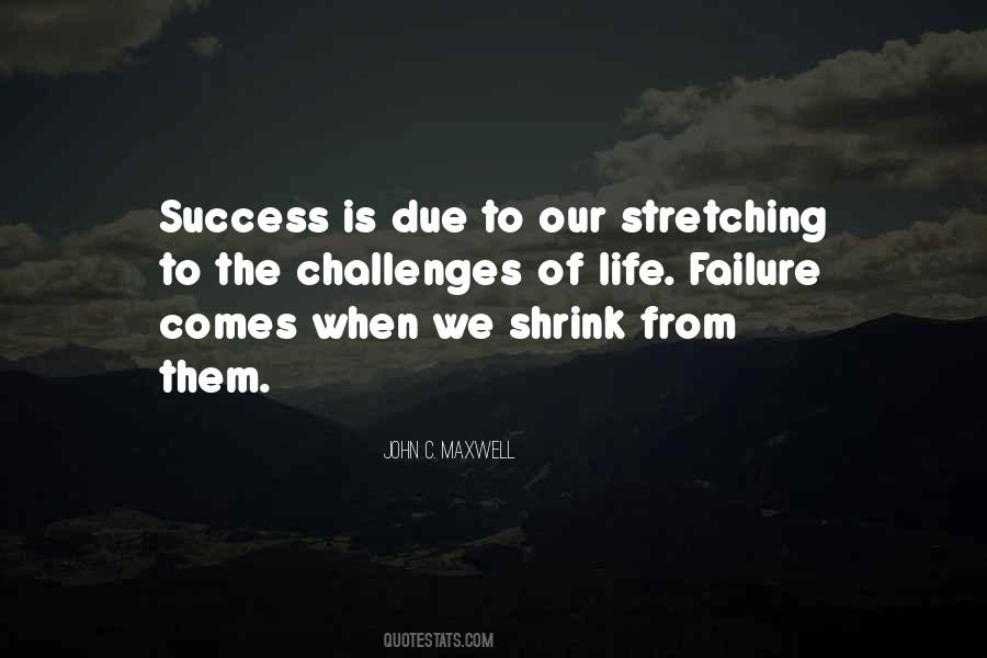 Quotes About Life Challenges And Success #225550