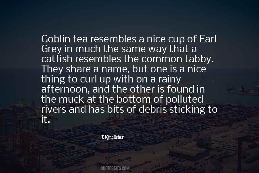 Quotes About Debris #1232375