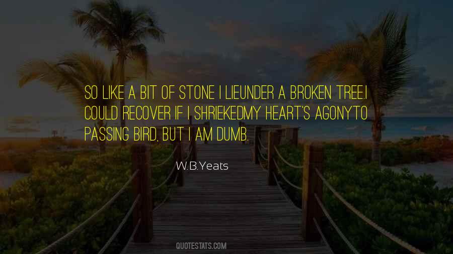 Quotes About A Heart Of Stone #1528202