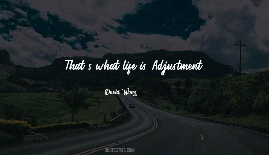 Life Adjustment Quotes #709109