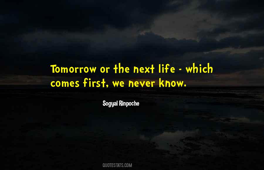 Quotes About Next Life #1233037