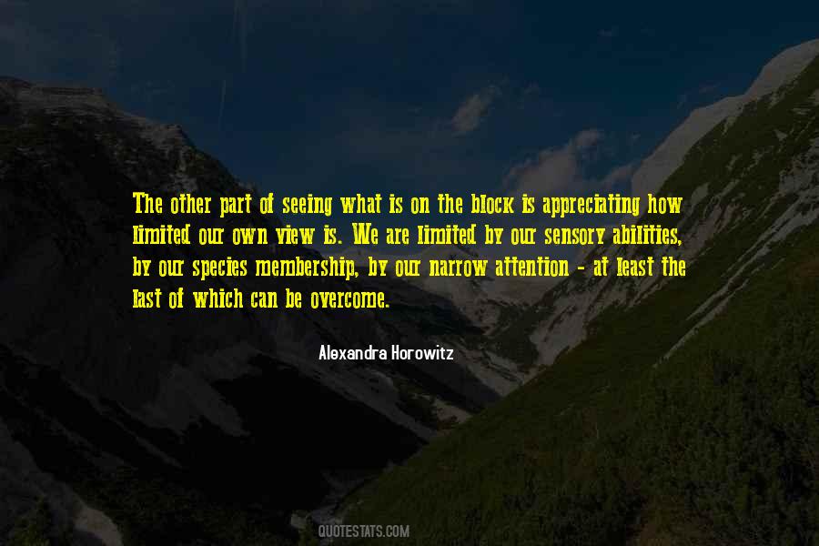 Quotes About Appreciating What You Have #229871