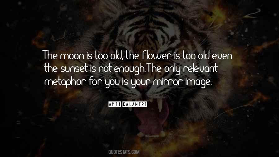 Quotes About Romantic Novels #1148078