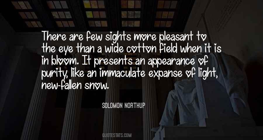 Snow Field Quotes #635713
