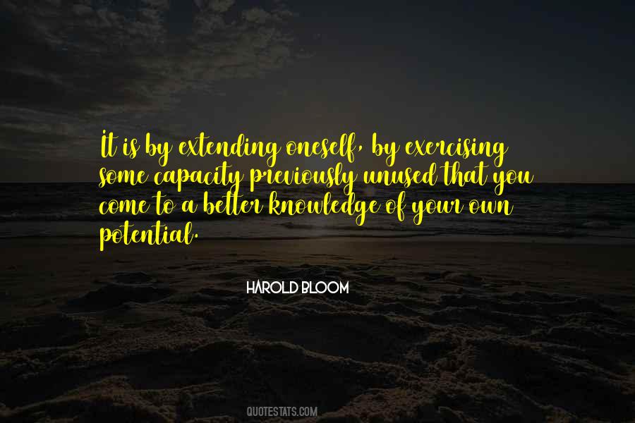 Quotes About Extending Yourself #221790