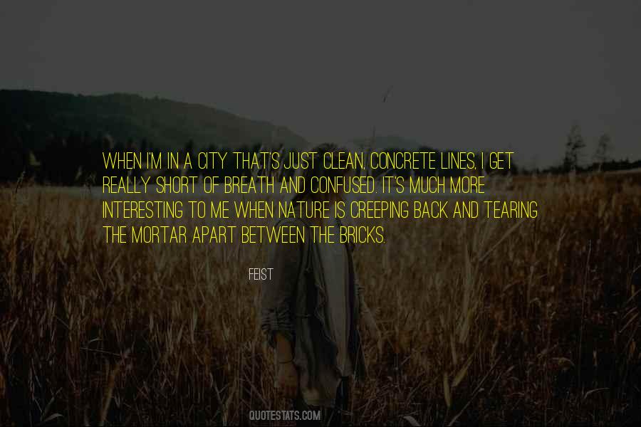 Quotes About Tearing Apart #1073384