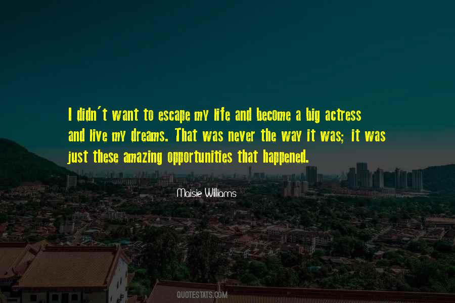Quotes About Opportunities #1690115