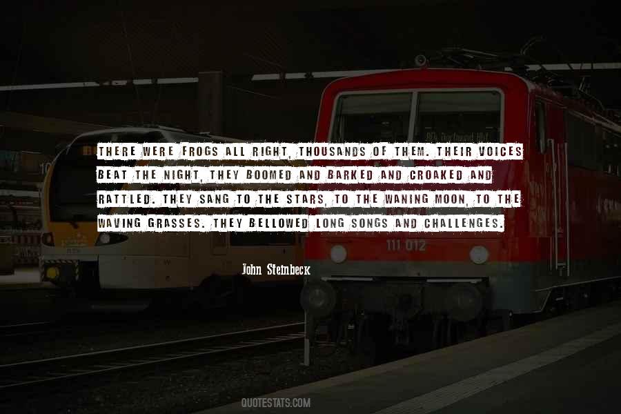The Allowing Of Problems Quotes #1555984