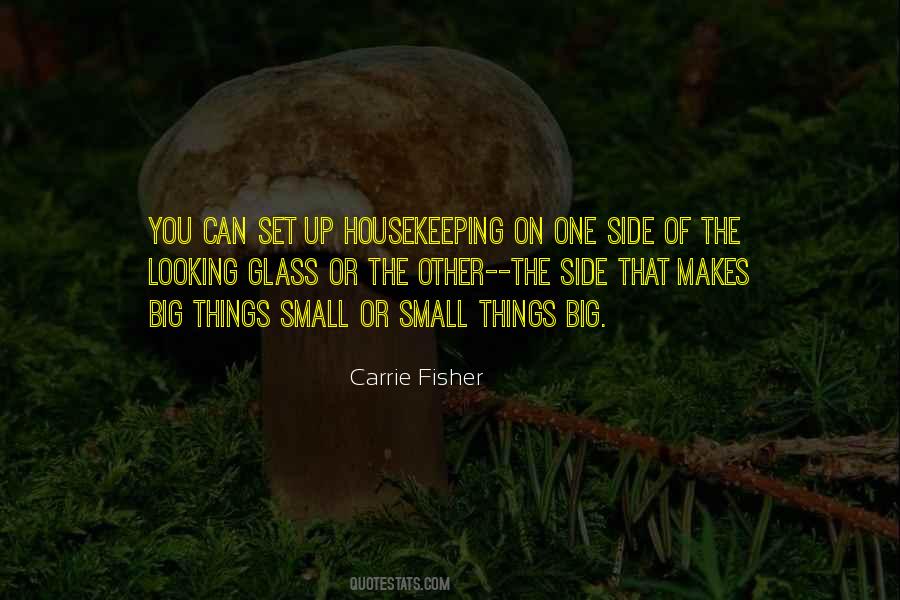 Quotes About Looking Glass #1386986