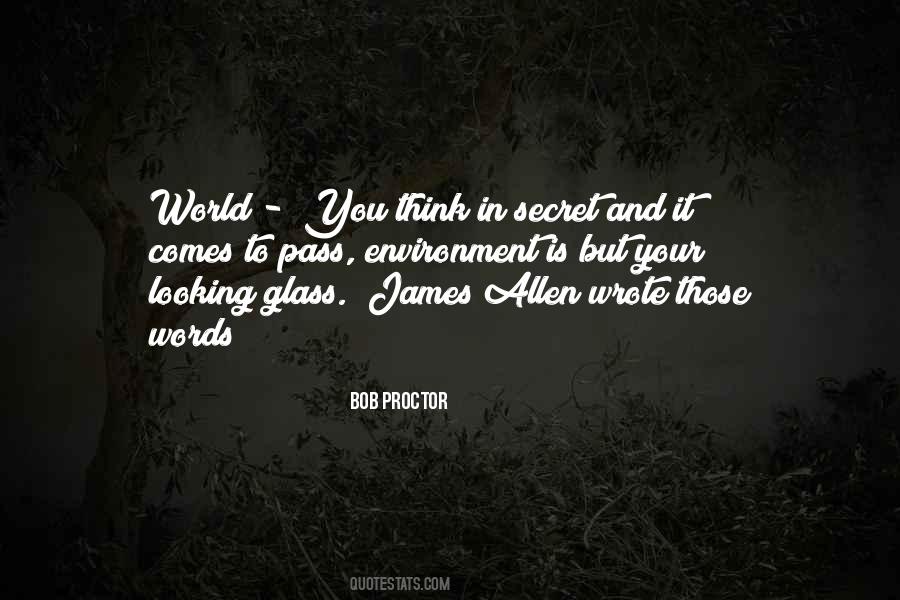 Quotes About Looking Glass #258769