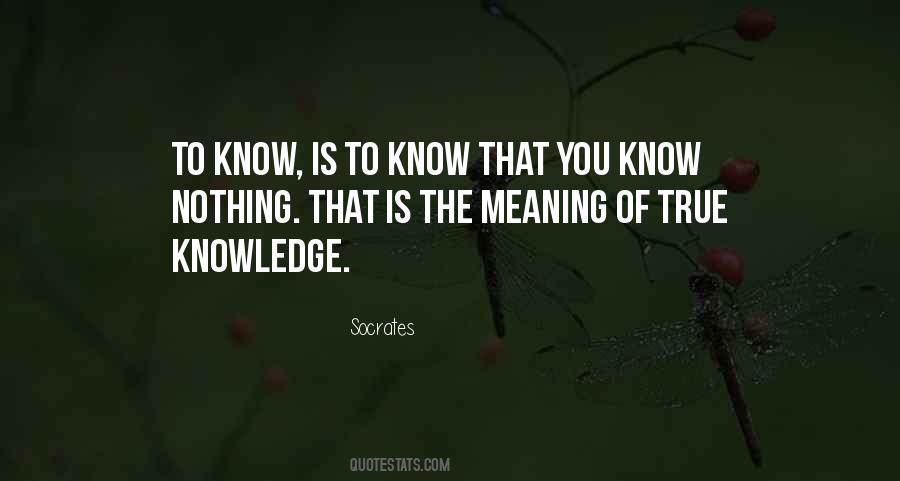 Quotes About Knowledge #1858227