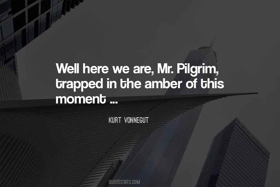 Mr Pilgrim Quotes #882622