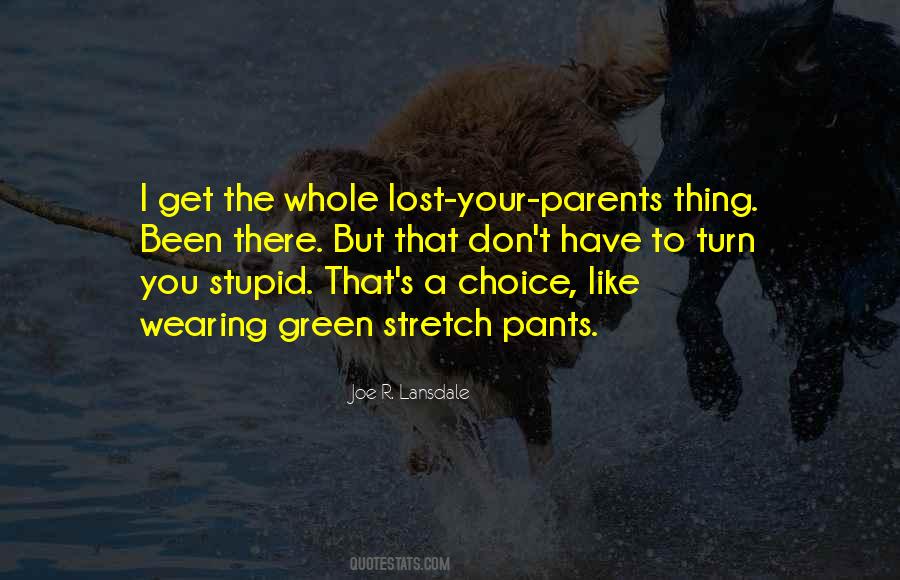 Quotes About Stupid Parents #421595